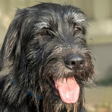 QR Code for 满冠体育app